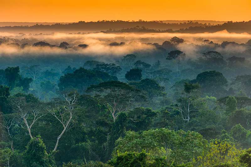 cristalino lodge amazon