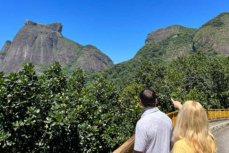 tour in tijuca rain forest rio de janeiro