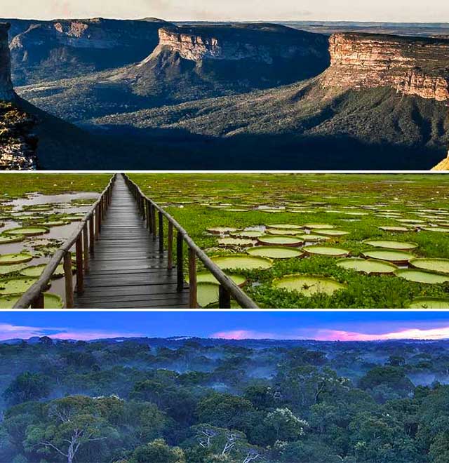 3 ecosystems brazil